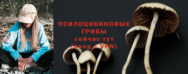 твердый Лагань