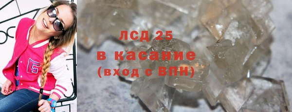 твердый Лагань