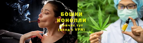 мдпв Ладушкин