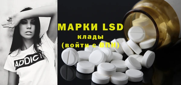 мдпв Ладушкин