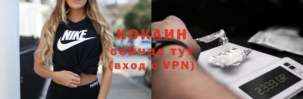 твердый Лагань