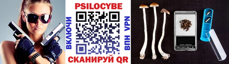 Купить закладки  Муравленко  Псилоцибиновые грибы Psilocybine cubensis 